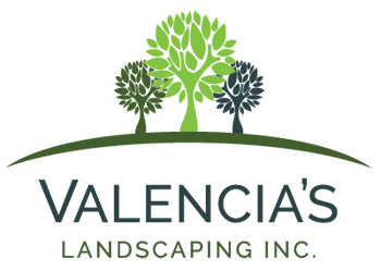 Valencia's Landscaping New Build Landscaping and Yard Maintenance