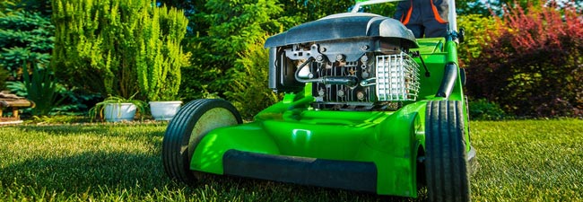 Yard Maintenance and Lawn Mowing Services Maple Valley