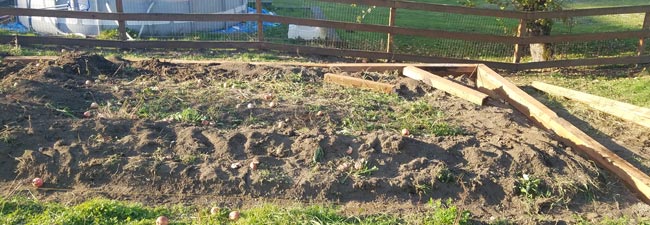 Garden Space Maple Valley