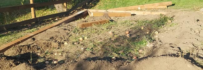 Garden Space Maple Valley