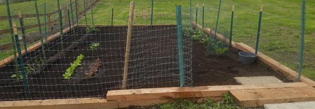 Garden Space Maple Valley